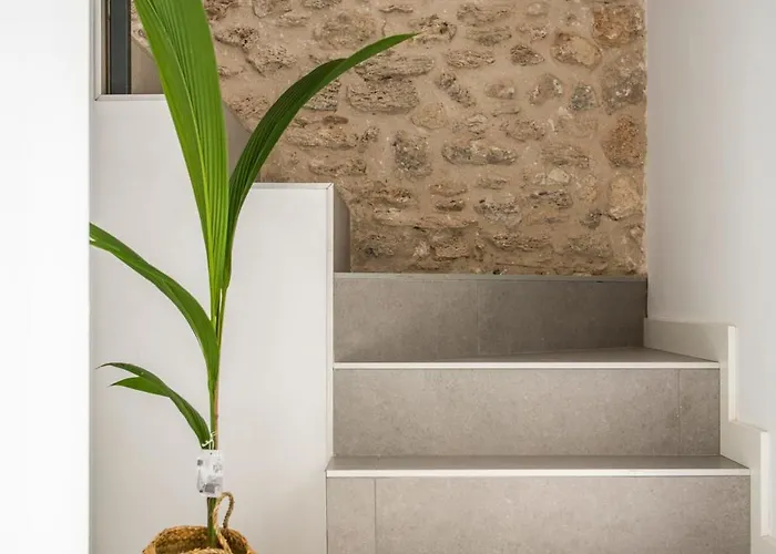 Apartament Planeses *