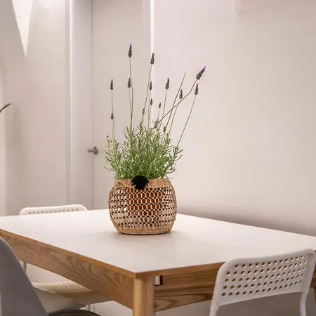 Apartament Planeses