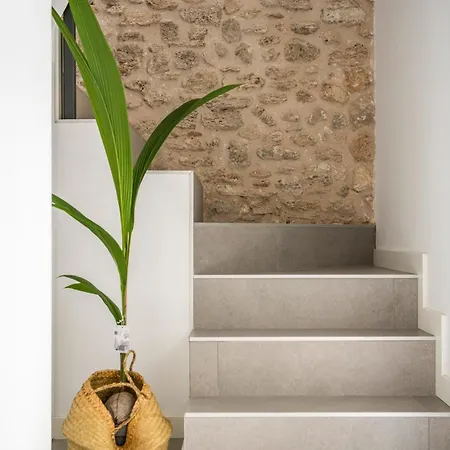 Apartament Planeses *